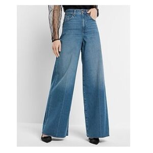 Express Relaxed Wide Leg Super High Rise Jeans (NWT)